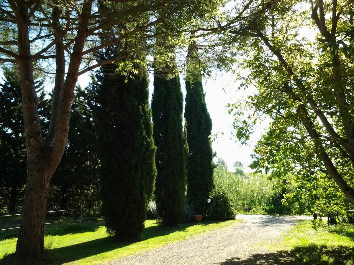 Farm stay Agriturismo Piana Arborello Hotel Magliano in Toscana