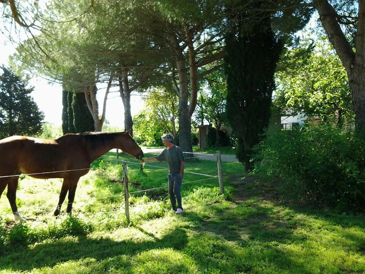 Agriturismo Piana Arborello Hotel Magliano in Toscana 0*,
