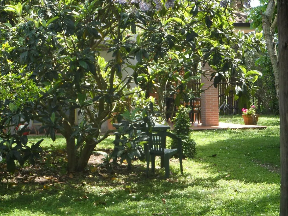 Agriturismo Piana Arborello Hotel Magliano in Toscana 0*,  Italy