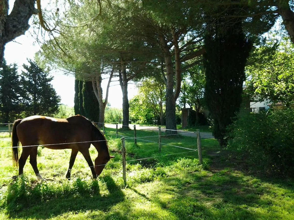 Agriturismo Piana Arborello Hotel Magliano in Toscana