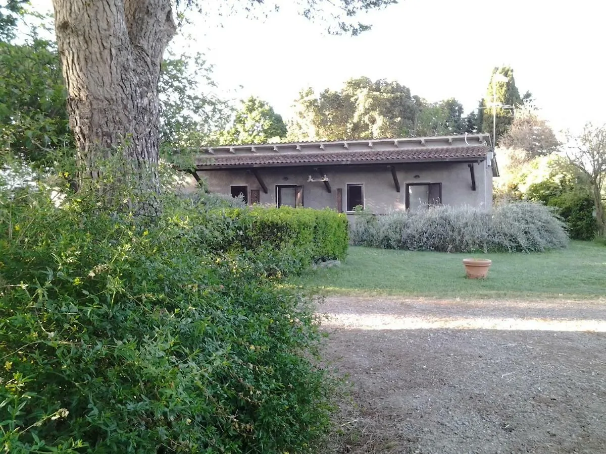 Farm stay Agriturismo Piana Arborello Hotel Magliano in Toscana