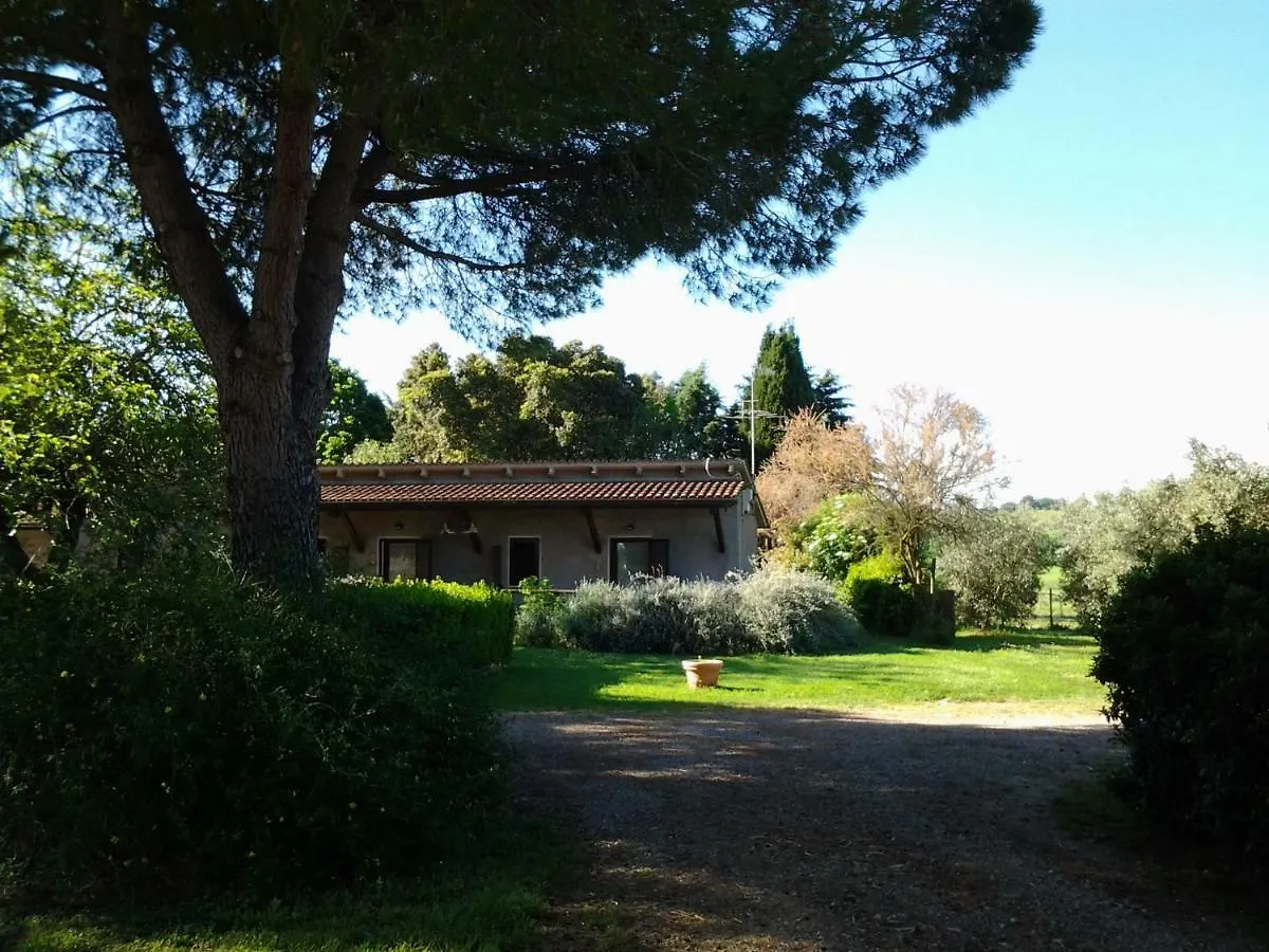Agriturismo Piana Arborello Hotel Magliano in Toscana 0*,
