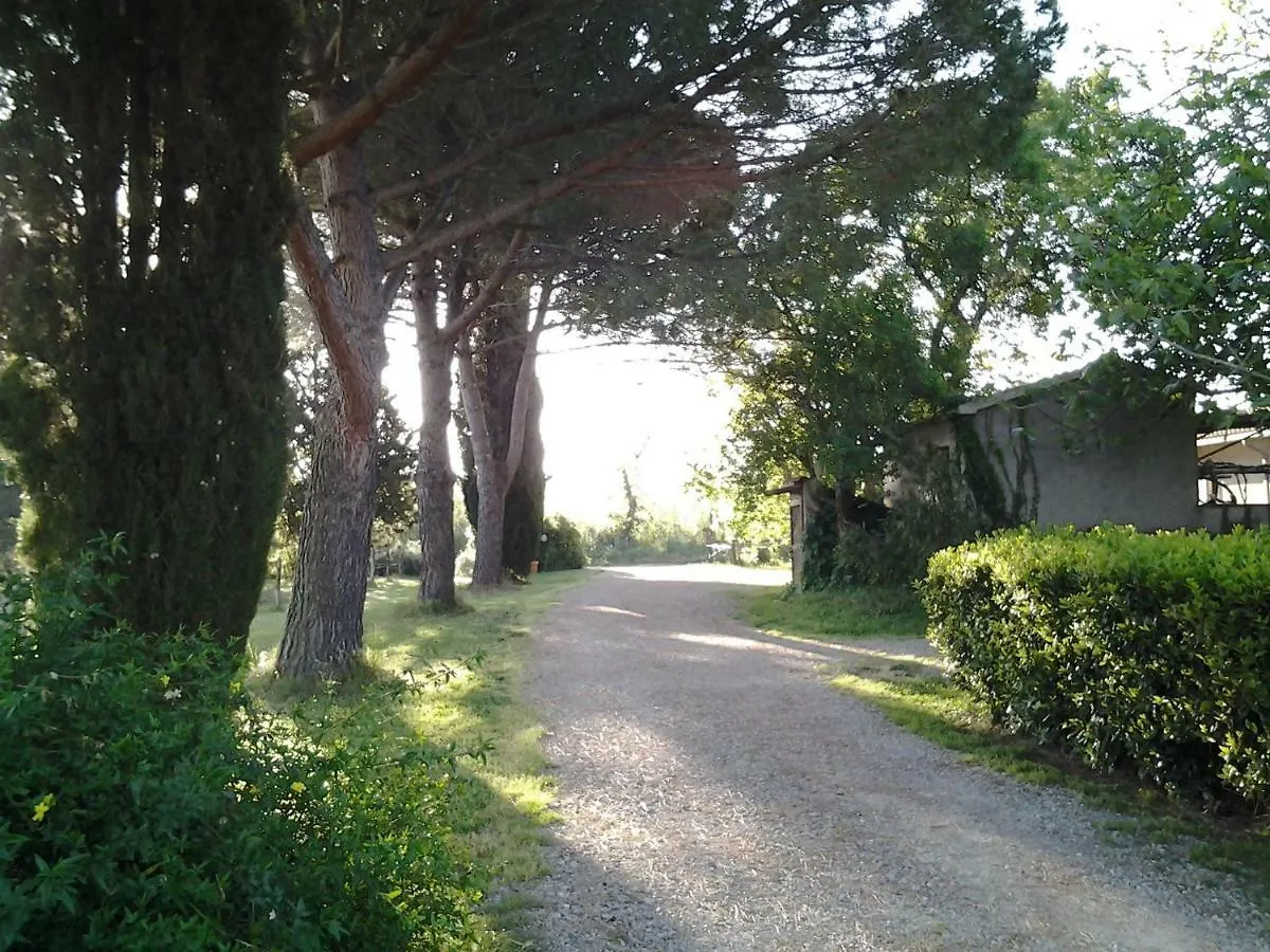 Agriturismo Piana Arborello Hotel Magliano in Toscana