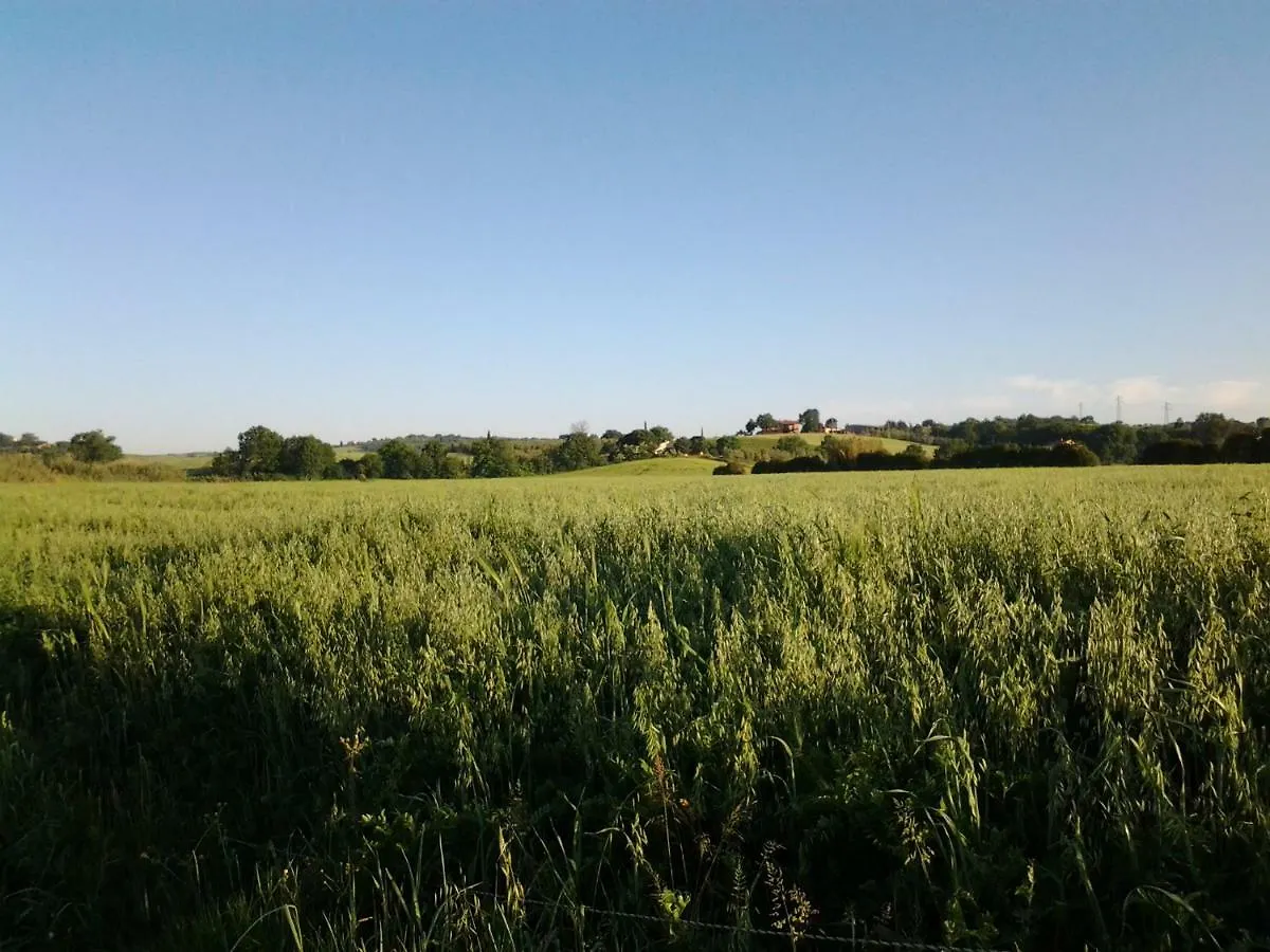 Farm stay Agriturismo Piana Arborello Hotel Magliano in Toscana
