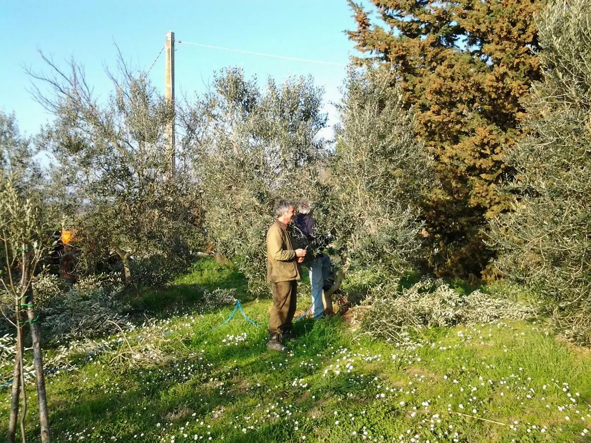 Agriturismo Piana Arborello Hotel Magliano in Toscana 0*,  Italy